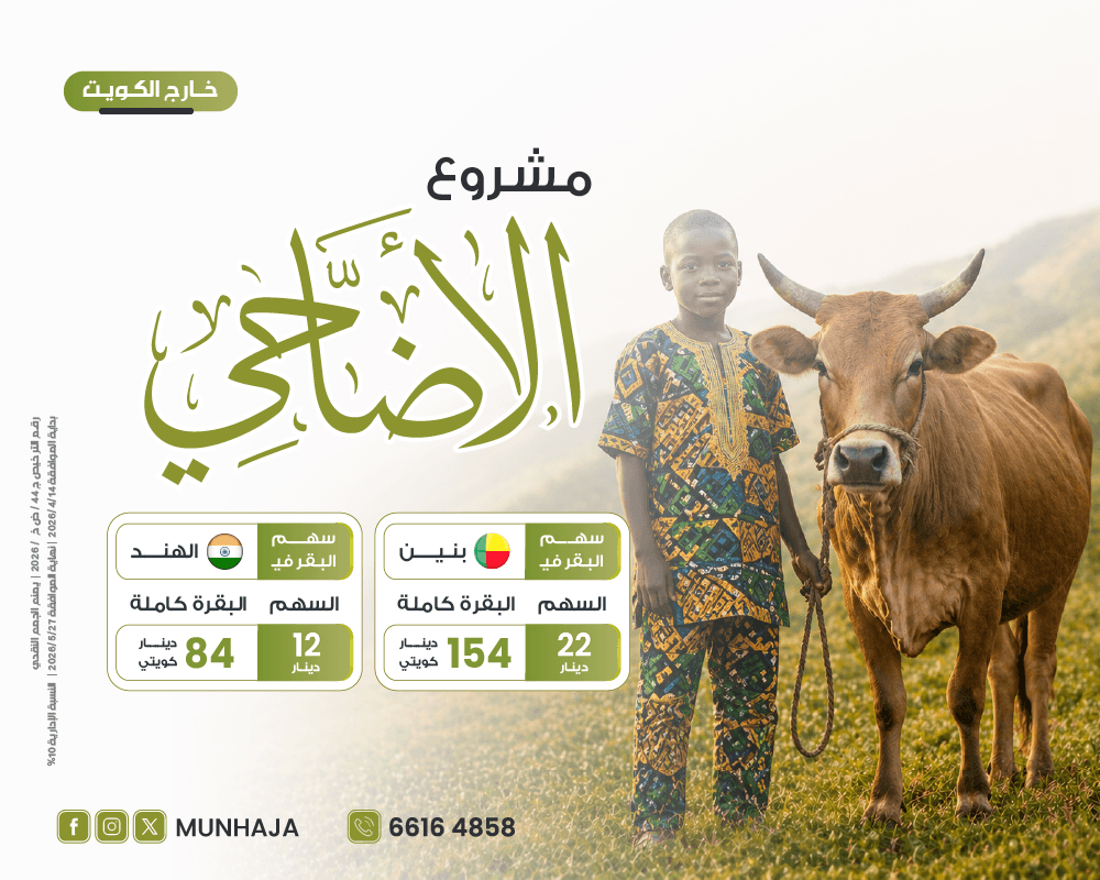 صورة أضاحي خارج الكويت - بقر